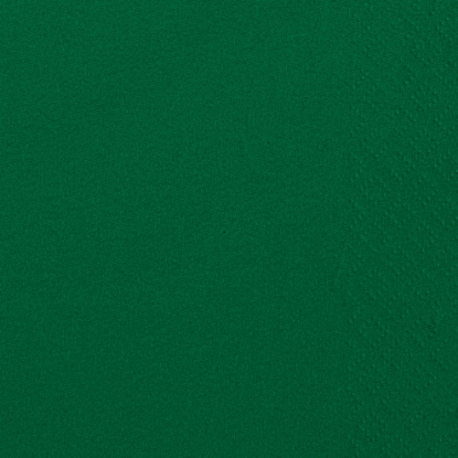 Immagine di 32860 TOVAGLIOLO MICROINCOLLATO VERDE 38x38cm