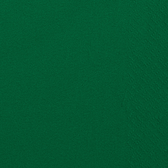 Immagine di 32860 TOVAGLIOLO MICROINCOLLATO VERDE 38x38cm