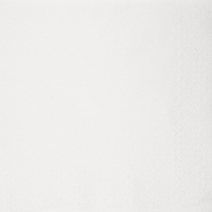 Immagine di 32560 TOVAGLIOLO BIANCO ECOLABEL 1 VELO 27x30cm
