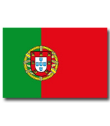 Immagine di BANDIERA PORTOGALLO 50x75cm 