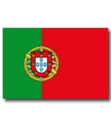 Immagine di BANDIERA PORTOGALLO 70x100cm 