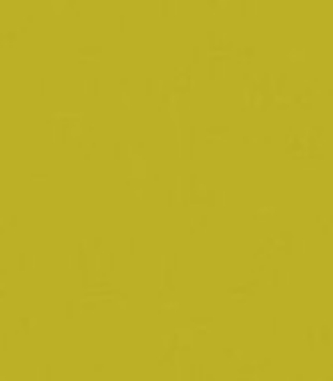 Immagine di 167519 TOVAGLIA DUNISOFT KIWI mt.1x1  