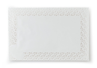 Immagine di PIZZI PORCELLANATI RETTANGOLARI 20x30cm