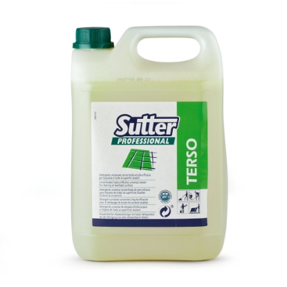 Immagine di 3826 - TERSO tanica kg.5  