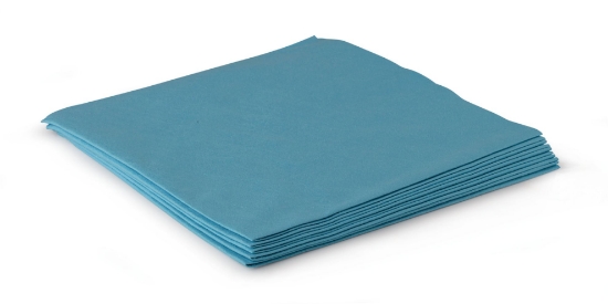 Immagine di 127562 PANNO MICROEVOLUX BLU 40x42cm