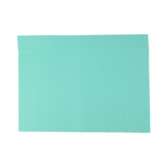 Immagine di PANNOSPUGNA MAXI 30x40cm