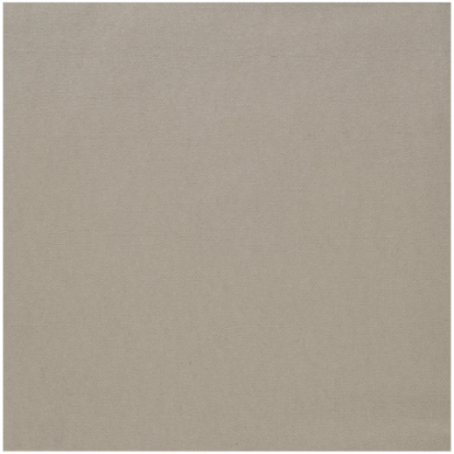 Immagine di 200936 TOVAGLIOLI  BIO DUNISOFT GREIGE 40x40cm  