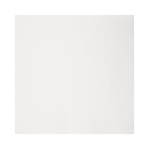 Immagine di 32560 TOVAGLIOLO BIANCO ECOLABEL 1 VELO 27x30cm