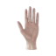 Immagine di GUANTO VINILE POWDERFREE mis.XL EN374
