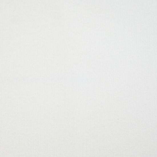 Immagine di TOVAGLIA MONO AIRLAID BIANCA mt.1x1